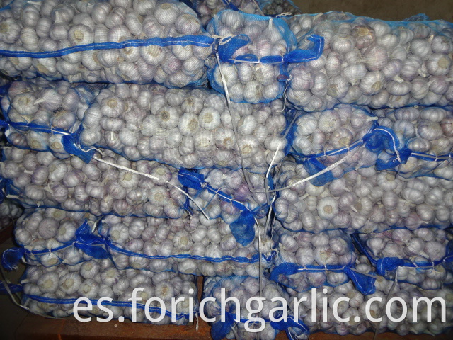 Best Quality Normal White Garlic 2019